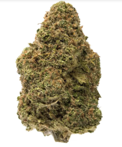 Green Mart UK