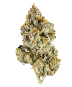 Greenmart UK