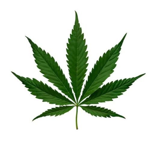 greenmartofficial.co.uk