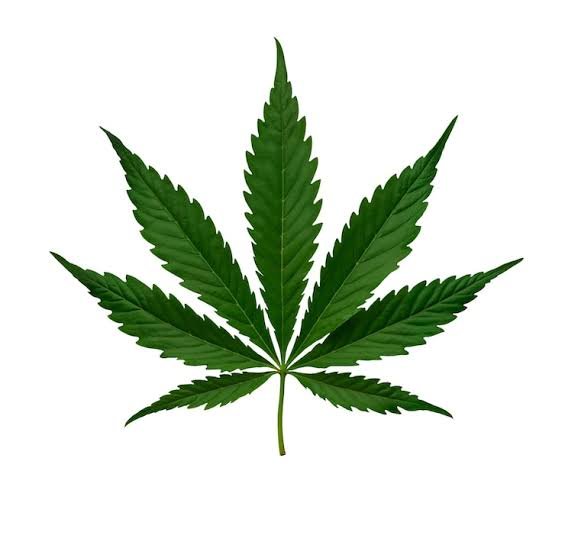 greenmartofficial.co.uk